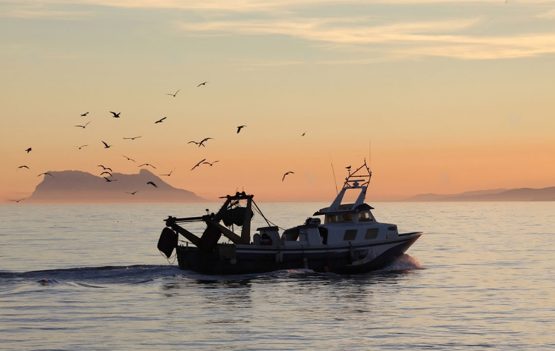Compromiso y Responsabilidad: La Pesca Sostenible en Huelva